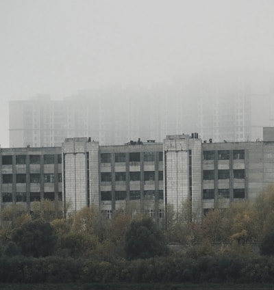 a foggy day in a city with tall buildings