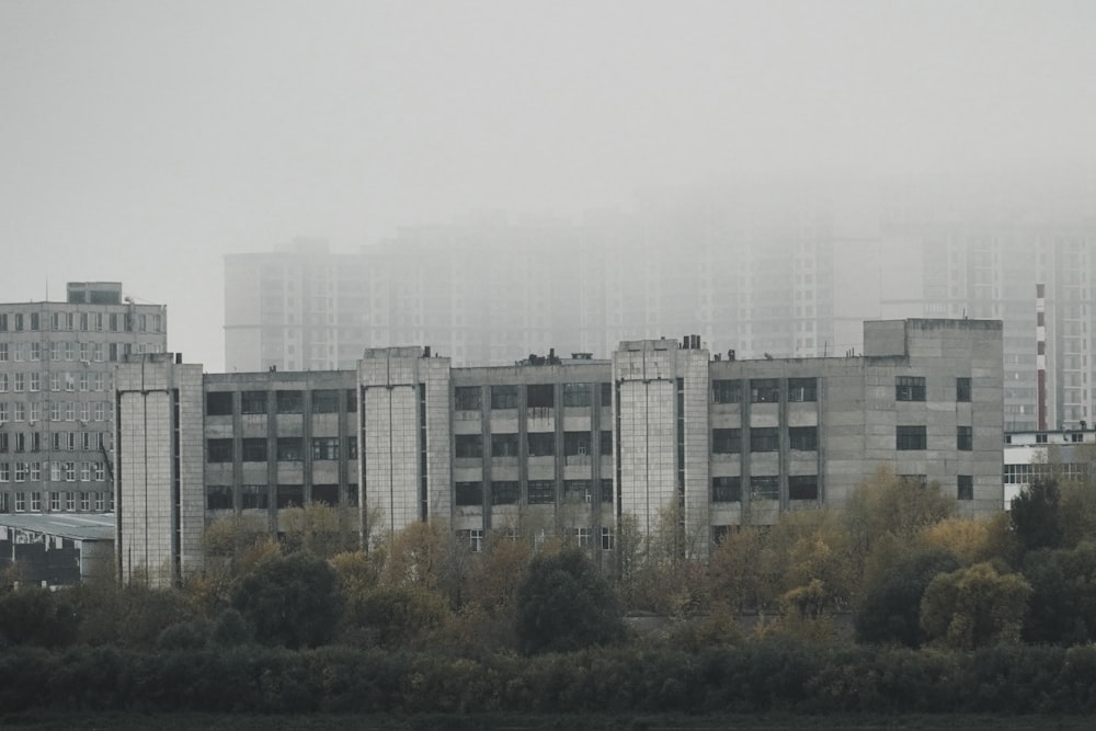 a foggy day in a city with tall buildings