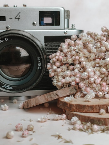 A vintage camera is placed alongside a bunch of light pink and white dried flowers. The flowers rest on slices of wooden logs, creating a rustic aesthetic.