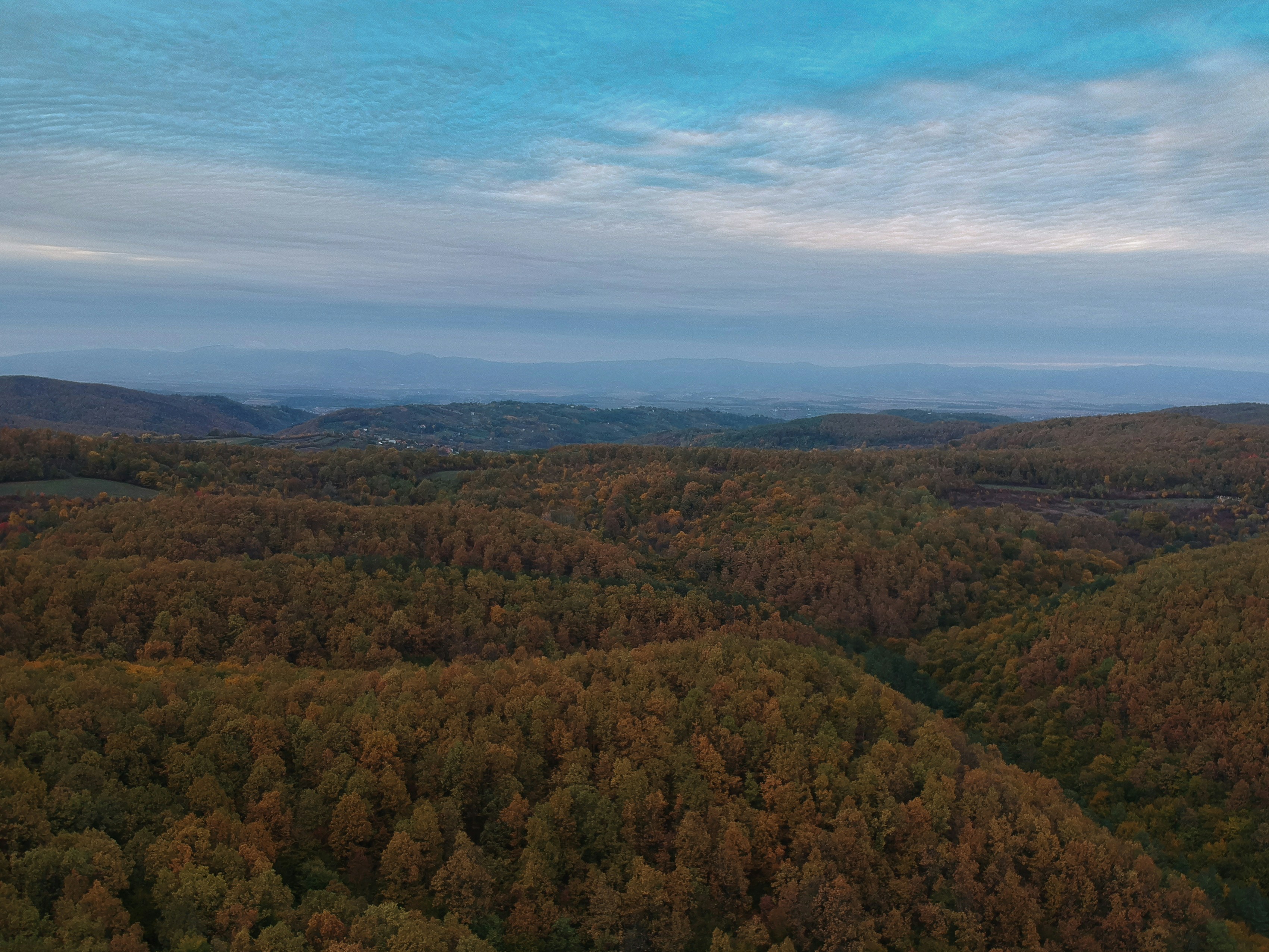 Photo by vjeblackbirdlion