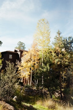 Wide shot of a rustic pousada surrounded by autumn foliage