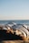 A pair of stylish sandals resting on a sandy beach with gentle waves in the background.