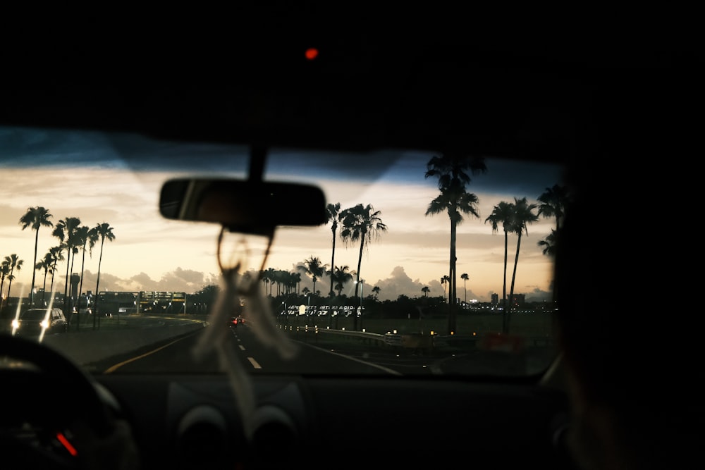 a view of palm trees from inside a car