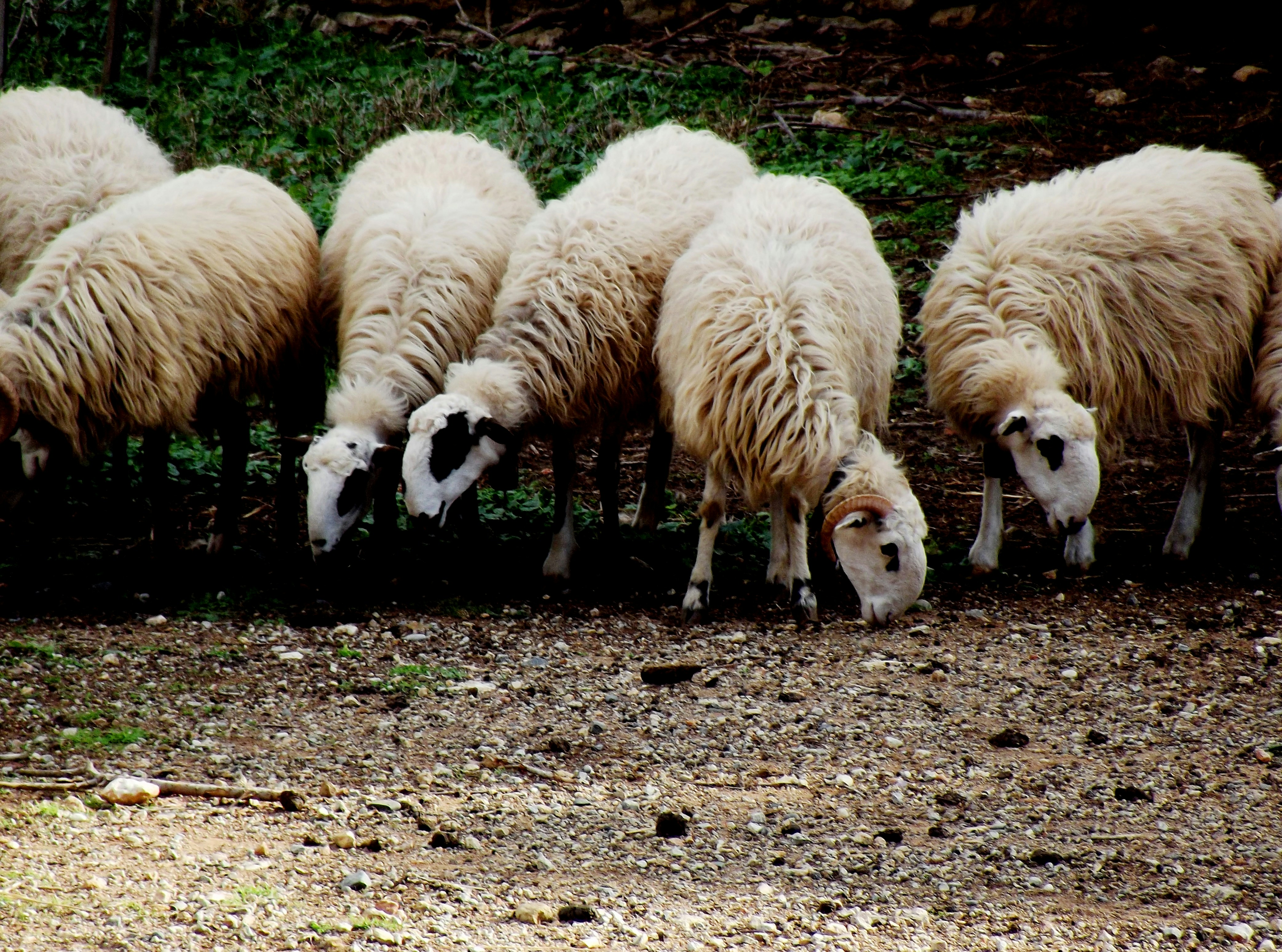 Photo by crete_offthebeatentrack