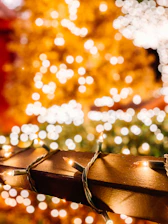 Close-up of premium holiday lights glowing softly on a silver and white garland wrapped around a porch railing.