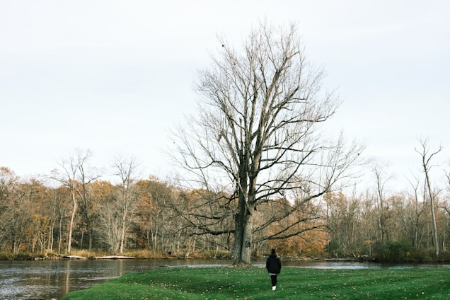 a person standing in a field next to a tree