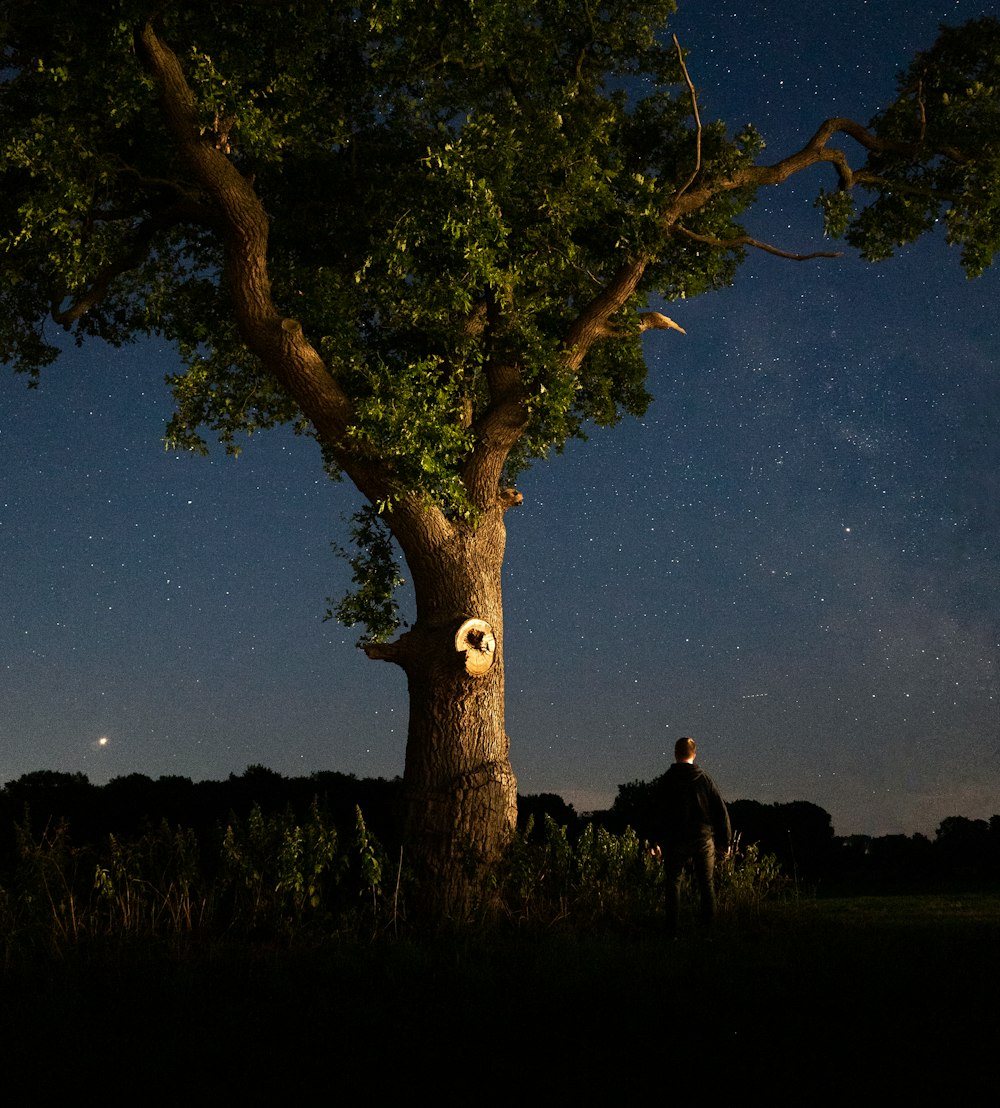 a man standing next to a tree at night