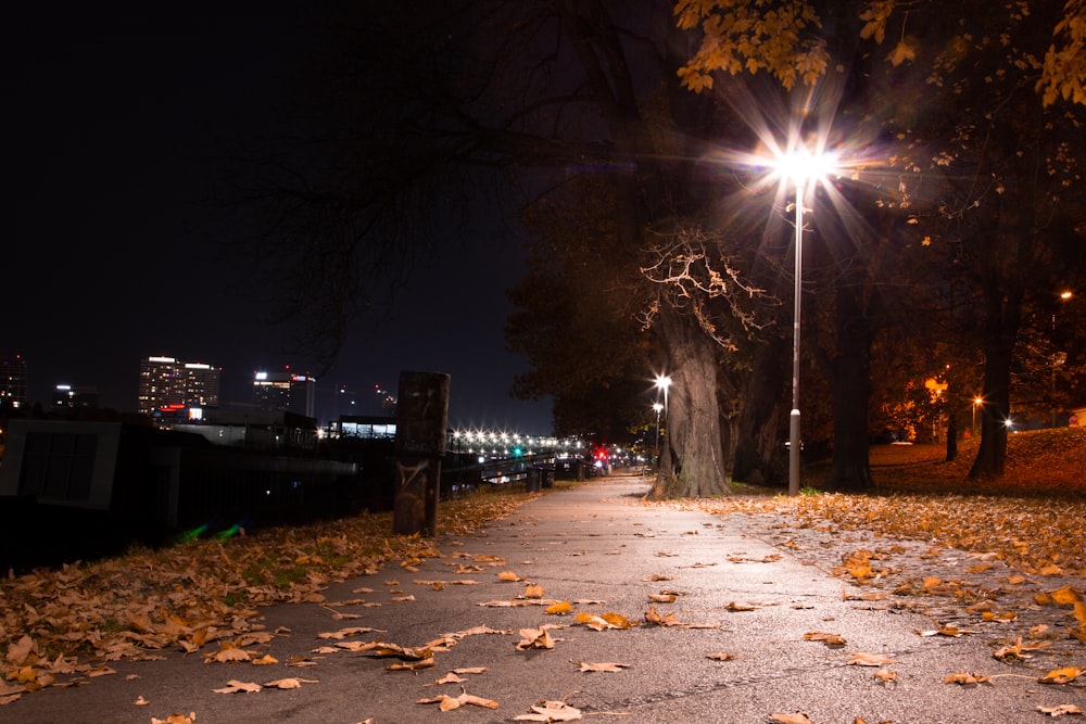 a street with leaves on the ground and a street light in the background