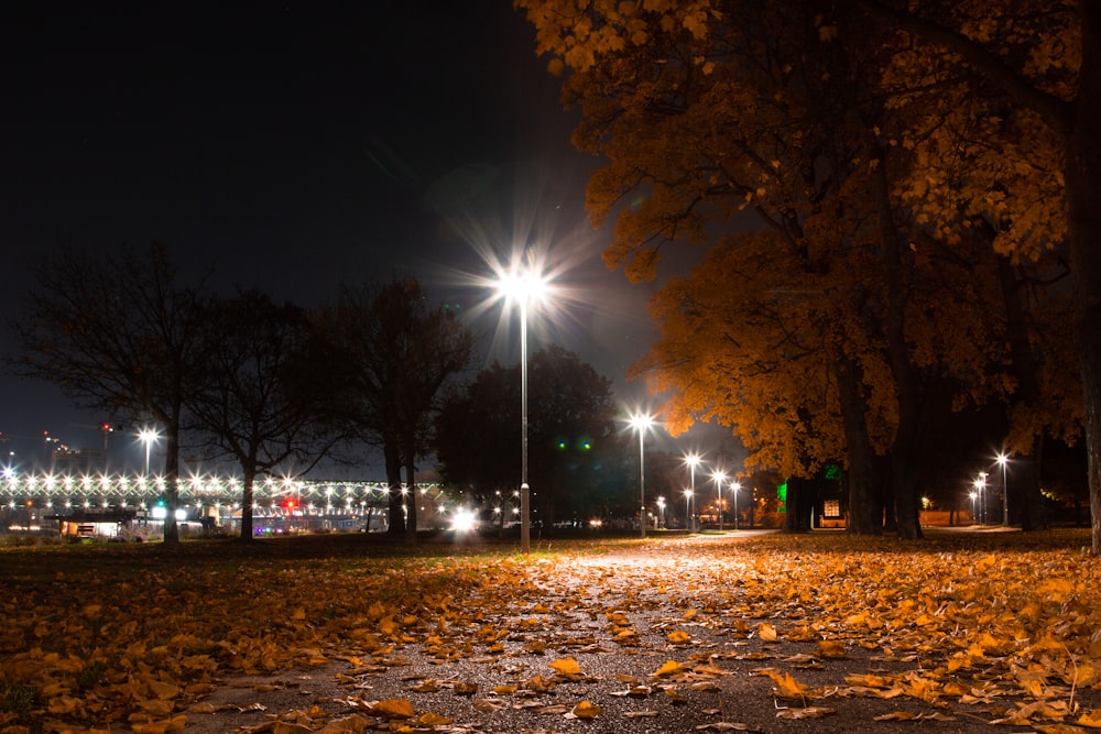 a street light shines brightly in the night sky