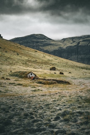 A small, rustic house with a thatched roof is nestled in a vast, grassy landscape. The background features imposing mountains under a cloudy, overcast sky, creating a dramatic atmosphere.