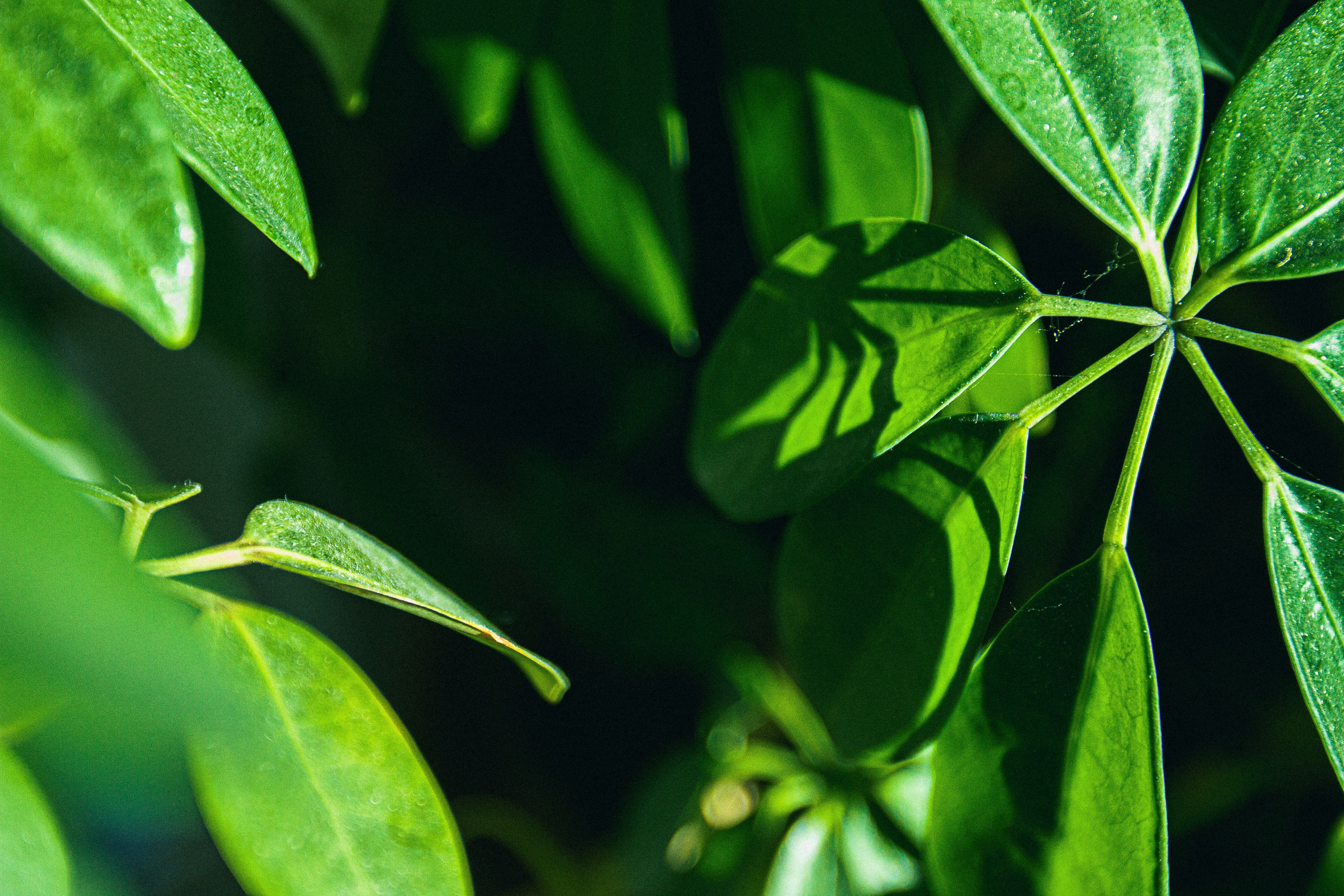 Photo by fergilicious_photos