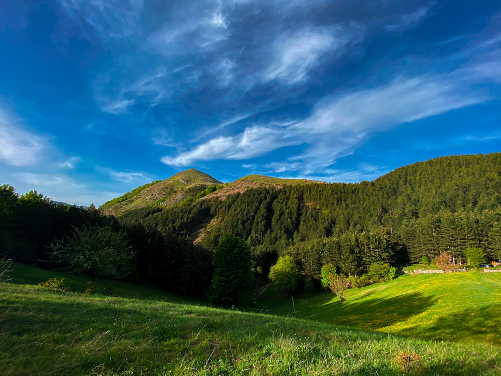 a grassy field with a mountain in the background