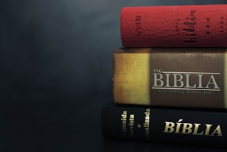 biblias de estudio en sevilla