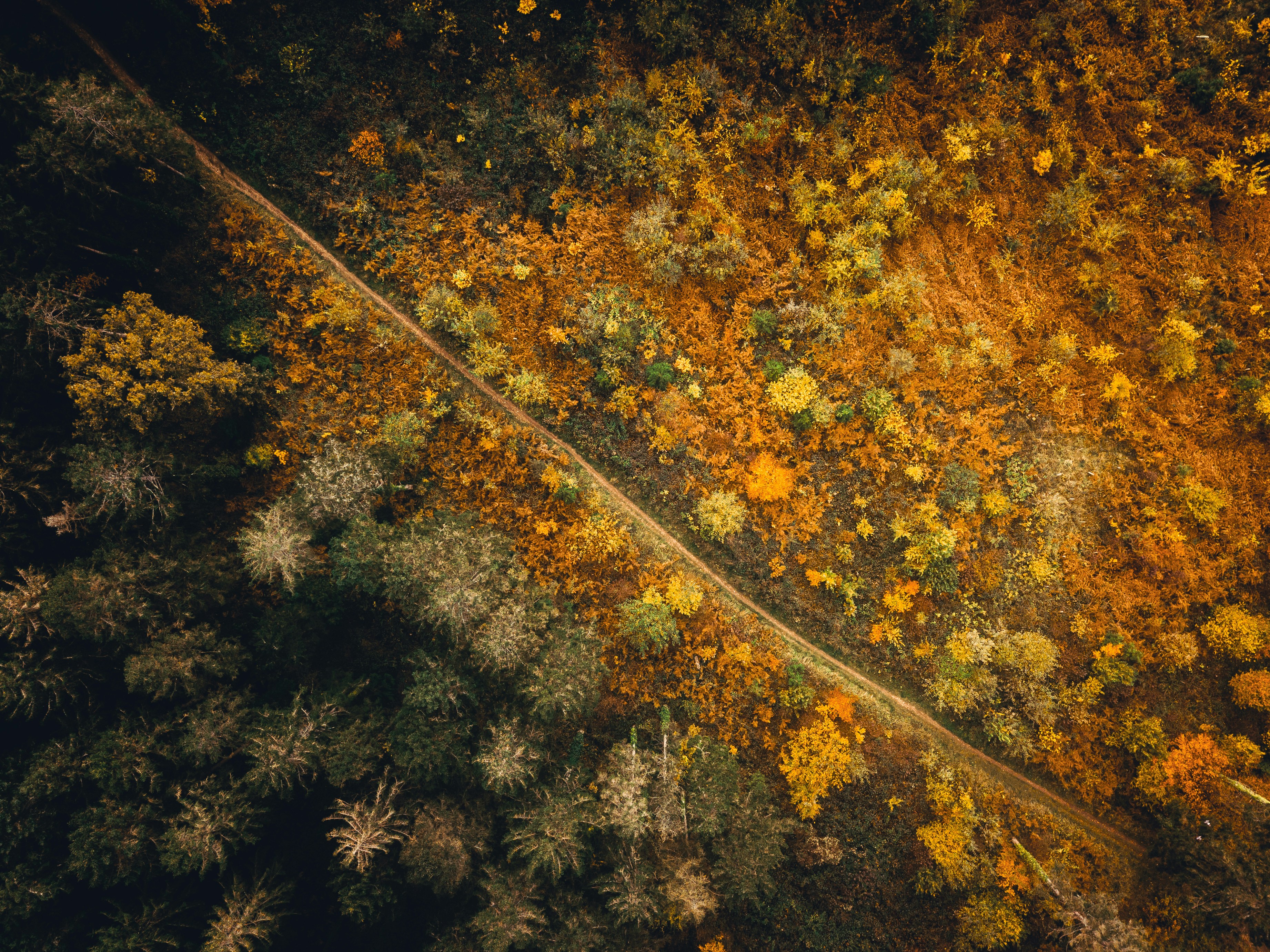 Photo by unstable_affliction