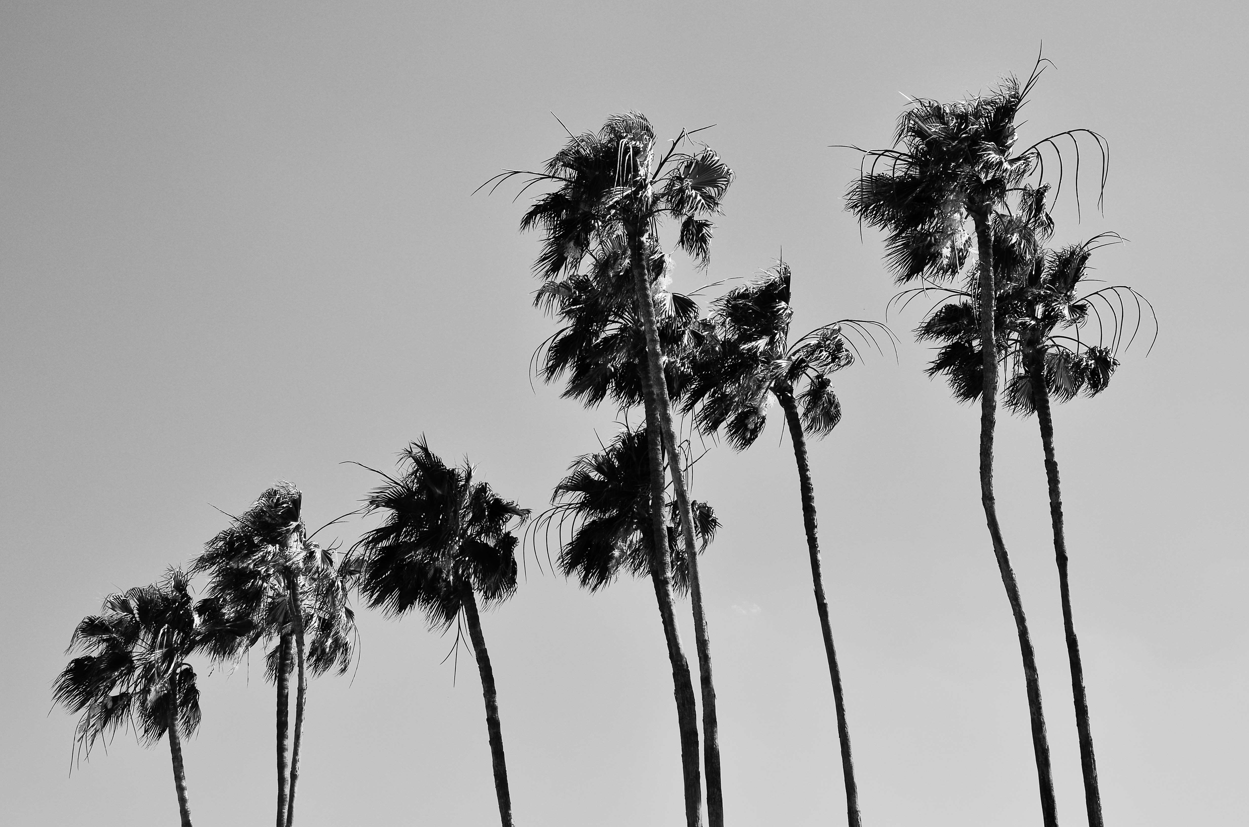 Photo by leomazucante