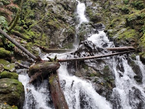 Grotto Falls