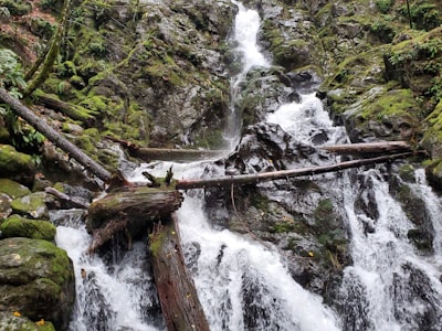 Grotto Falls Waterfall