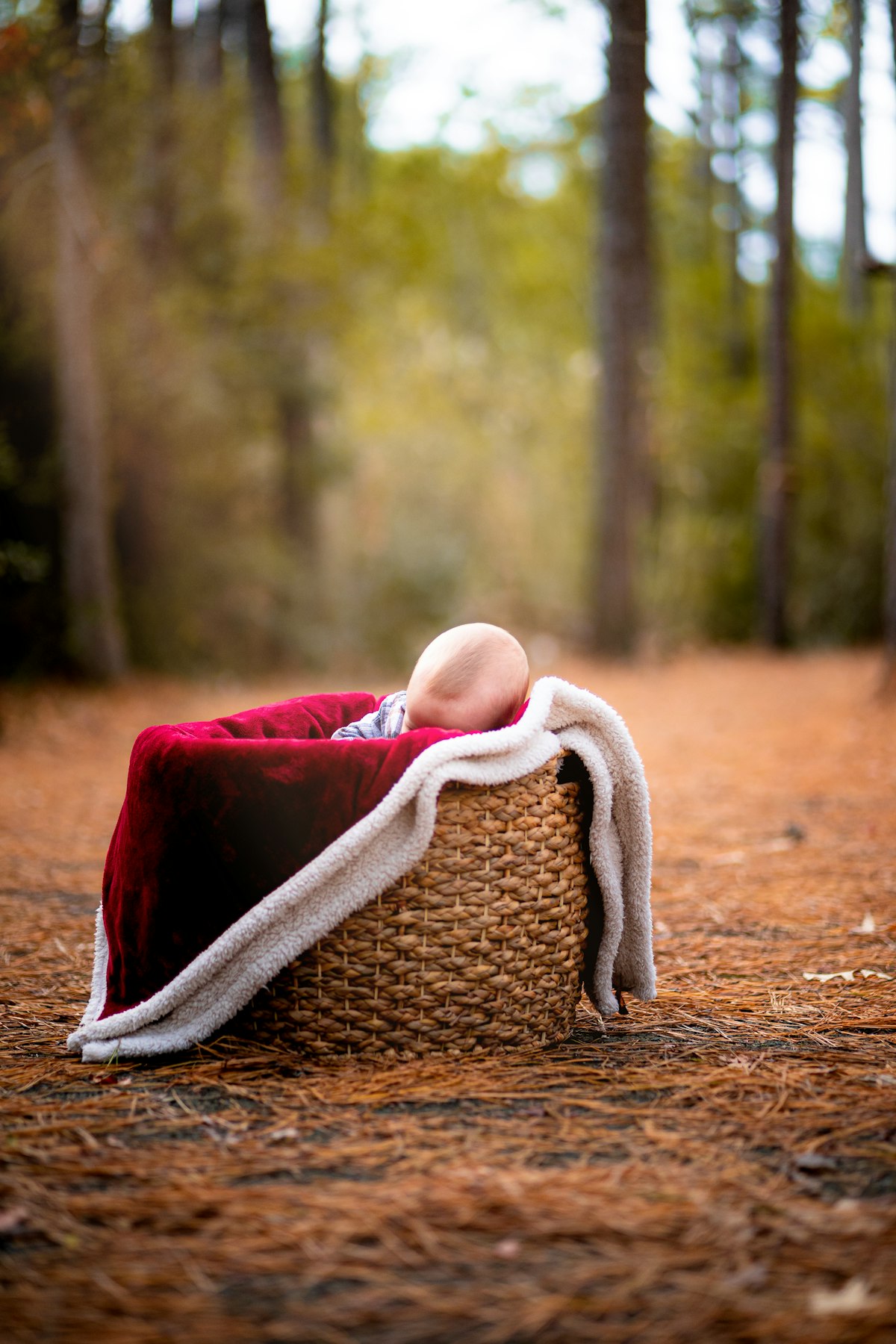 Man sleeping in hammock sunny day relaxation