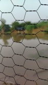 A close-up of a durable wire mesh fence installed at a construction site.