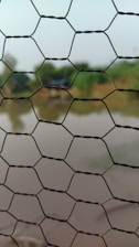 A close-up of a stainless-steel wire mesh fence installed in a garden setting.