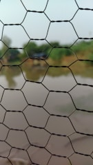 A close-up view of a wire mesh fence with hexagonal patterns, in front of a blurred background that includes a body of water and greenery.