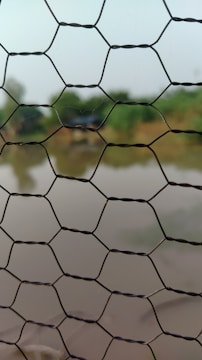 A close-up view of a wire mesh fence with hexagonal patterns, in front of a blurred background that includes a body of water and greenery.