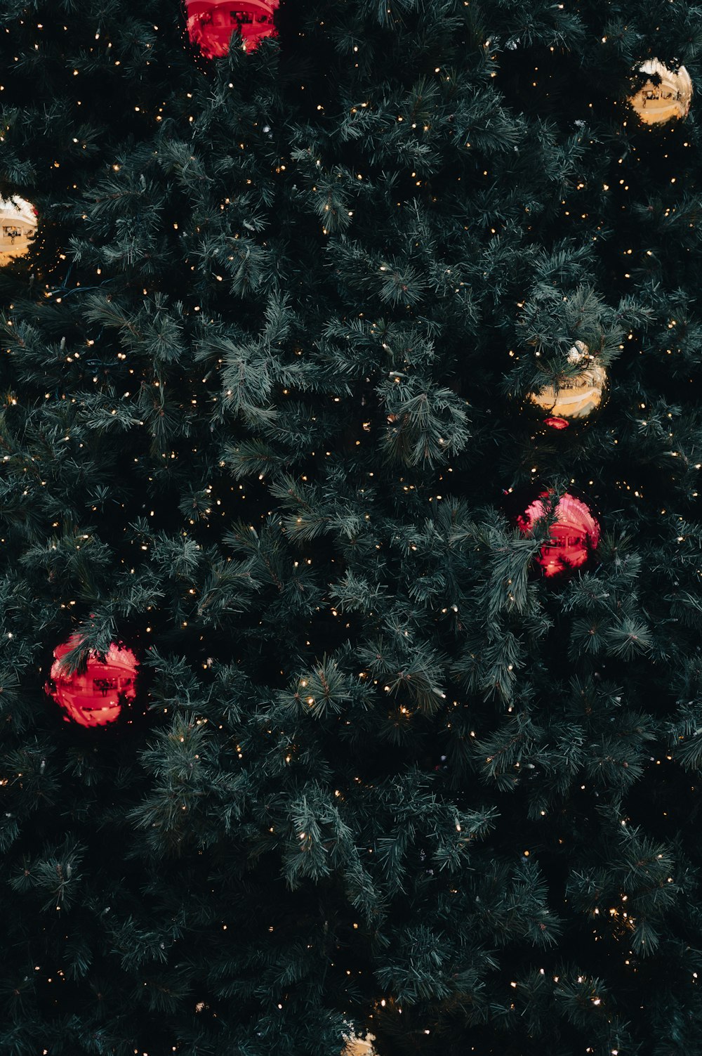 a black christmas tree with red and gold ornaments