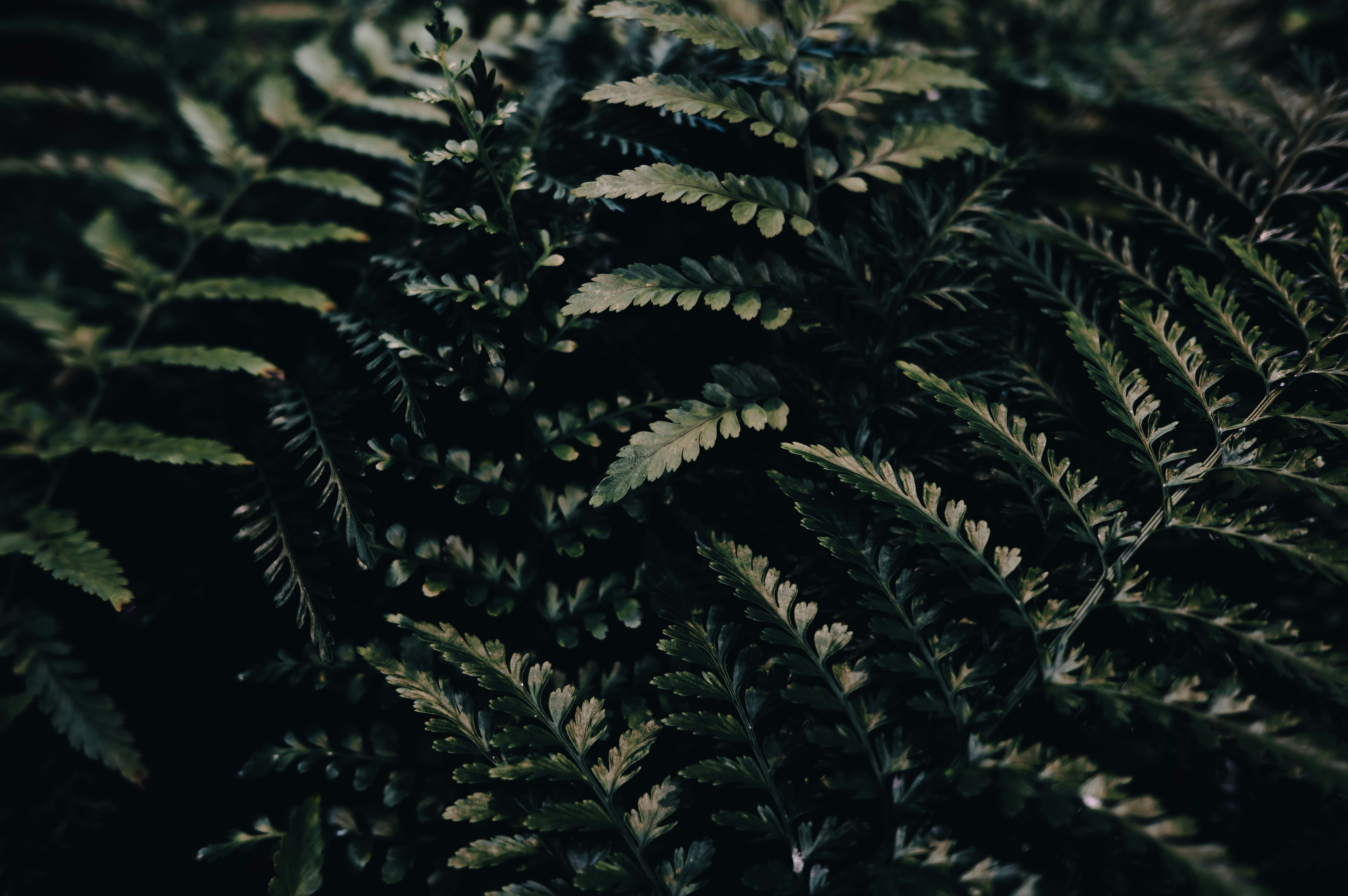 Photo by ryunosuke_kikuno