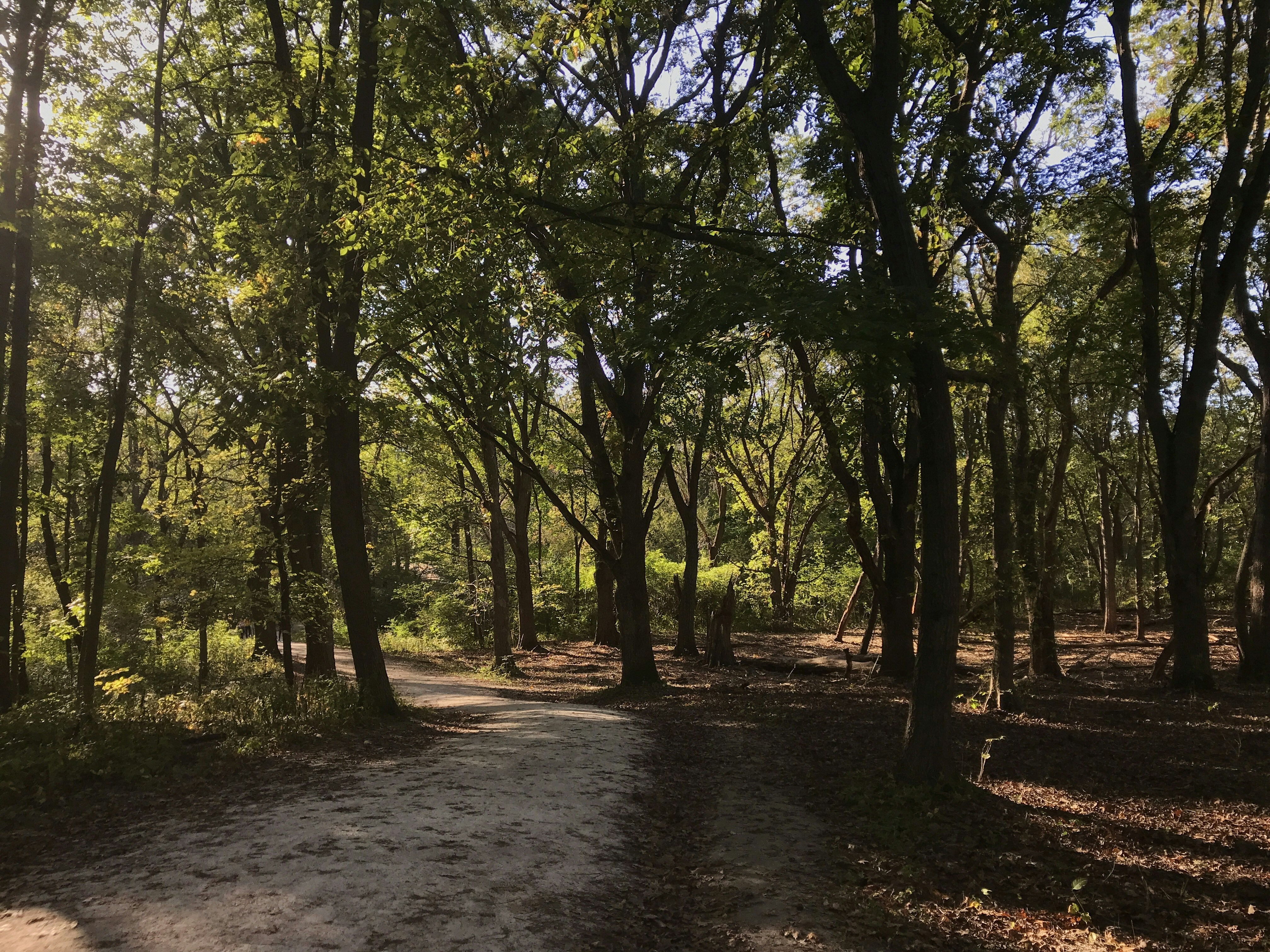 Photo by sayakaganz22