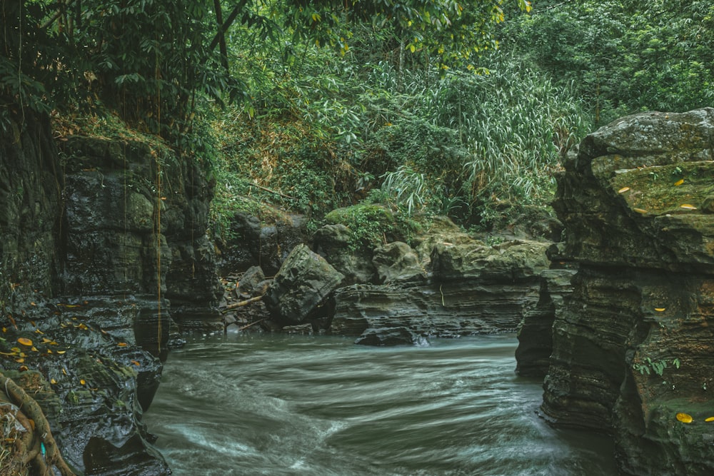 a waterfall with trees in the background