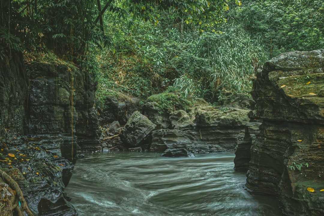 a waterfall with trees in the background