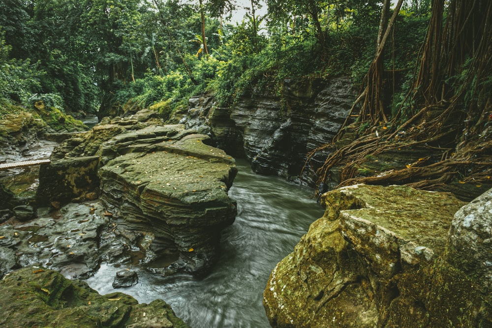 a large waterfall in a forest