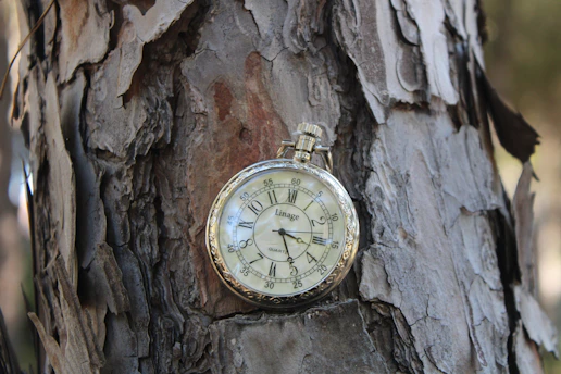 an old pocket watch hanging on a tree