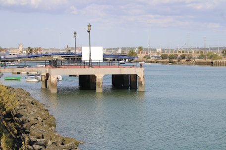 A waterfront area with a concrete pier extending over the water. Several boats can be seen floating nearby. There are street lamps on the pier and a white rectangular structure, possibly a sign or screen. The pier overlooks a shoreline with buildings, palm trees, and a rugged, rocky embankment in the foreground.