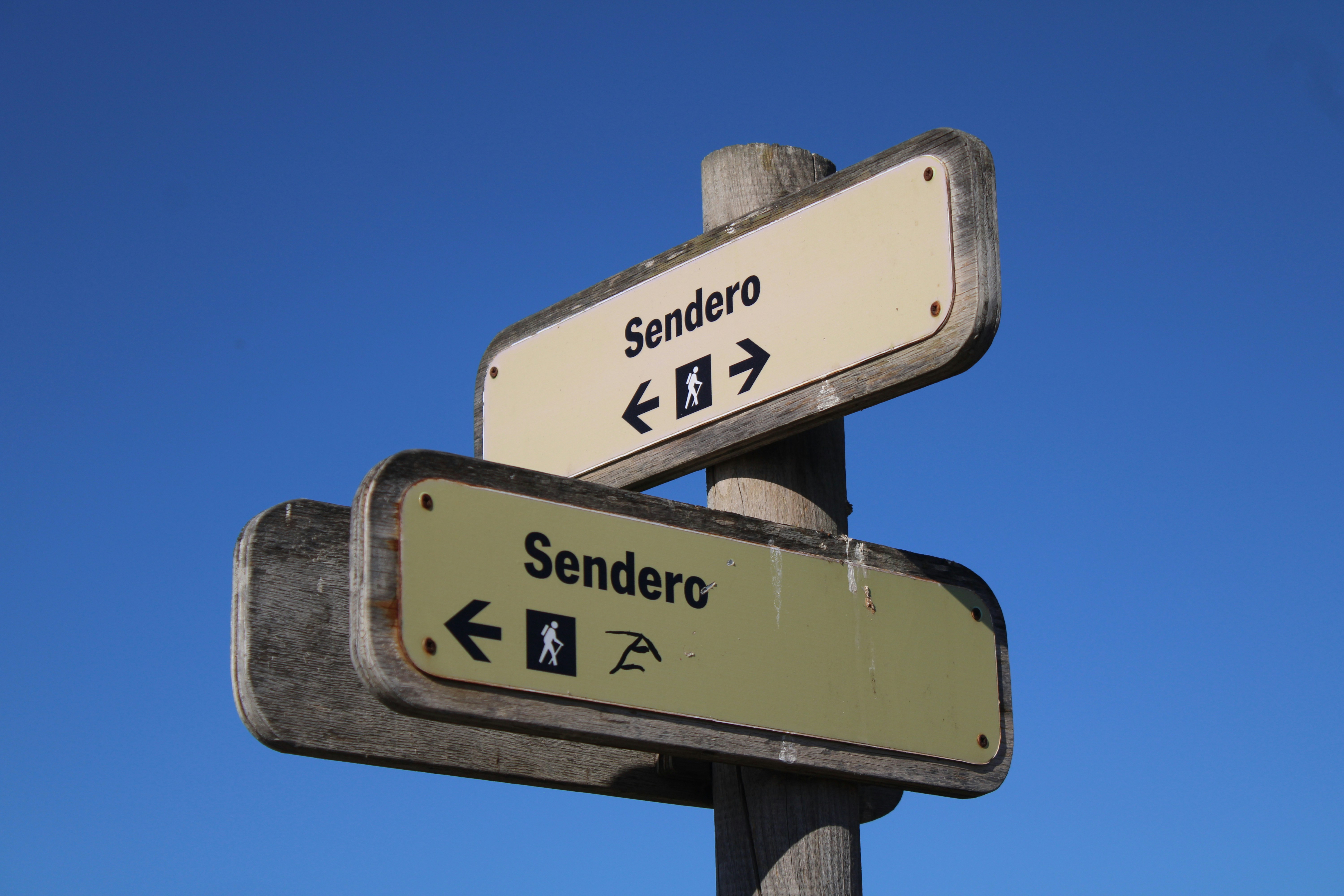 La guía definitiva para encontrar servicios de software empresarial en Redondela