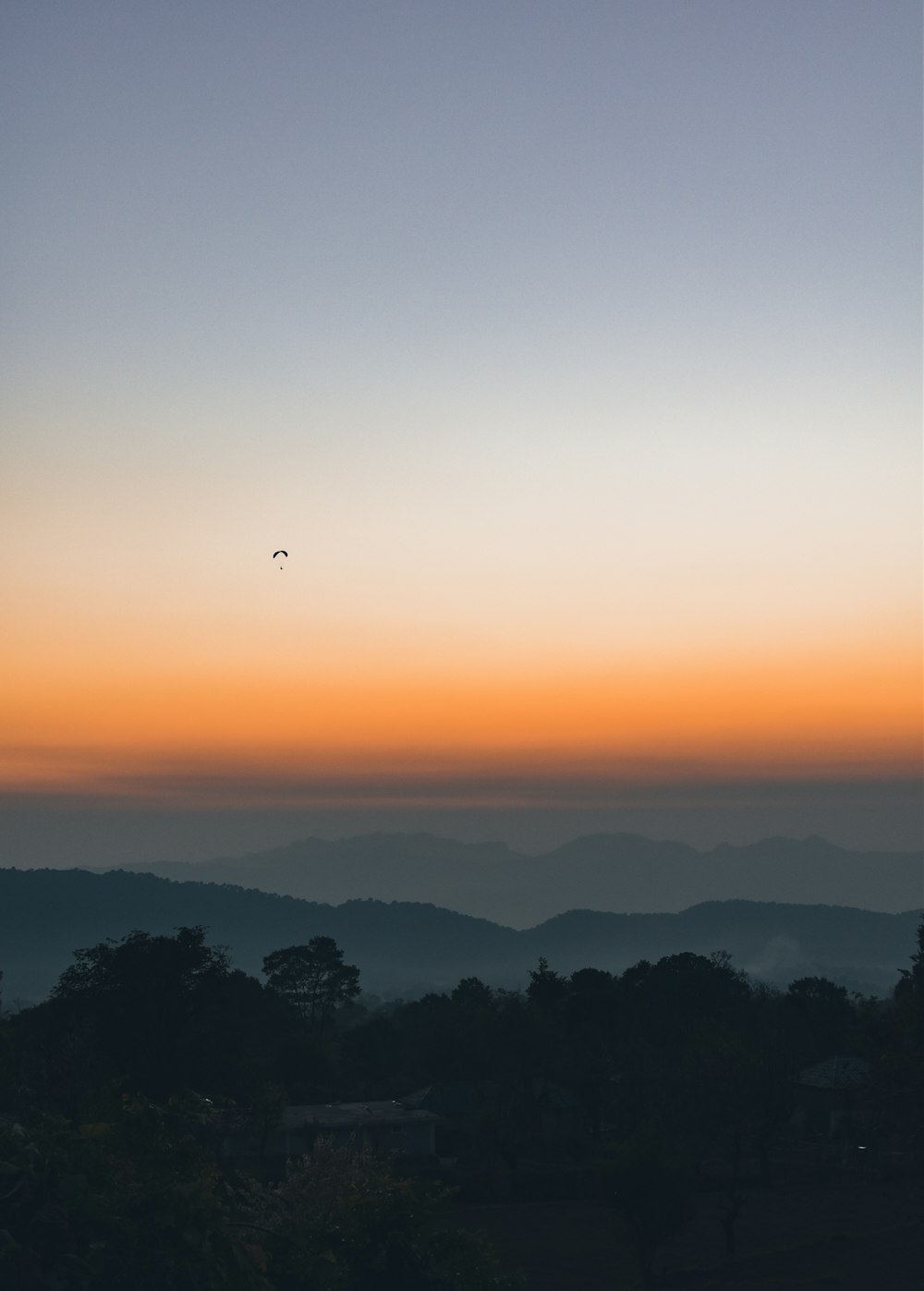 夕暮れ時に空を飛ぶ鳥