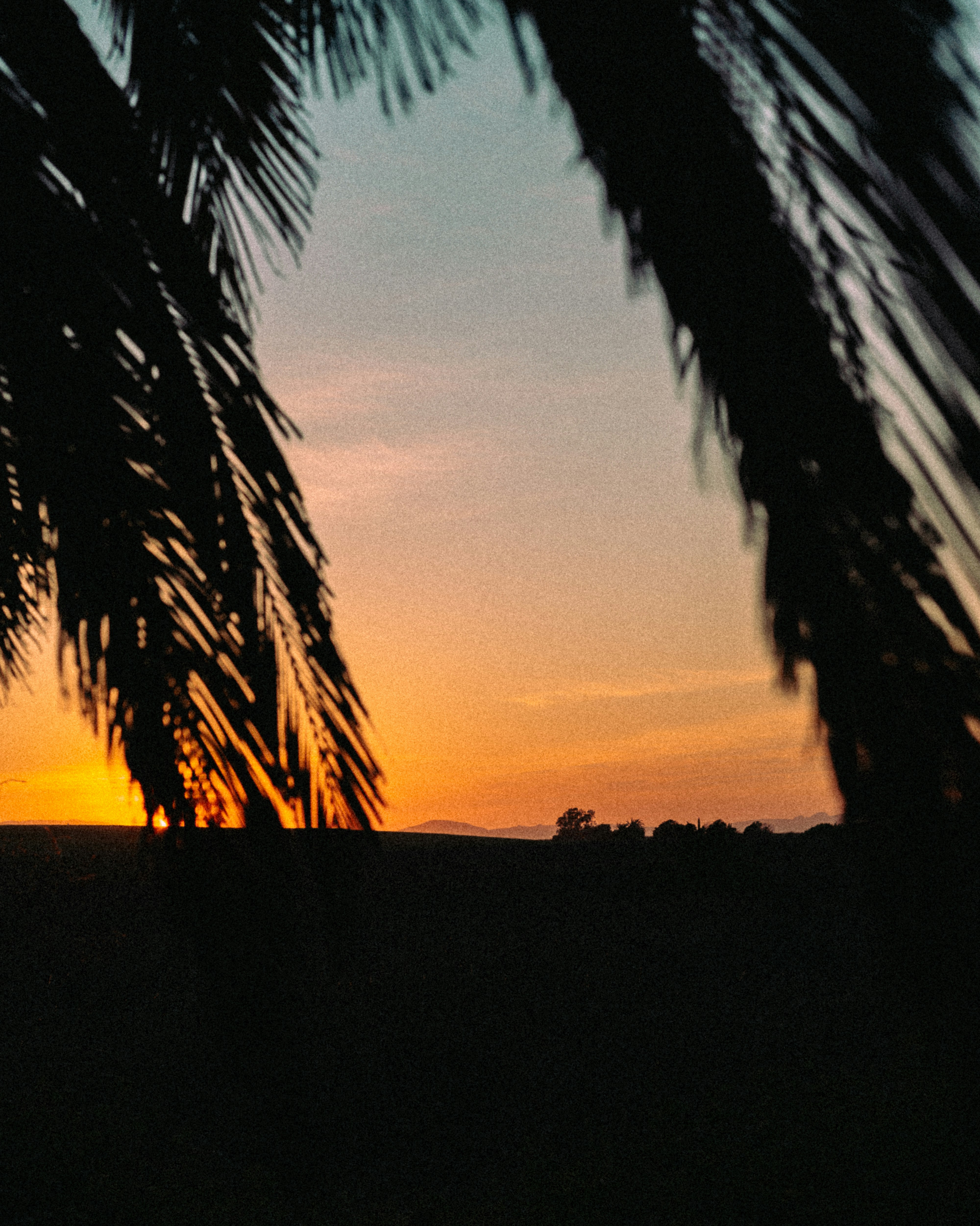 Photo by kalaniparker