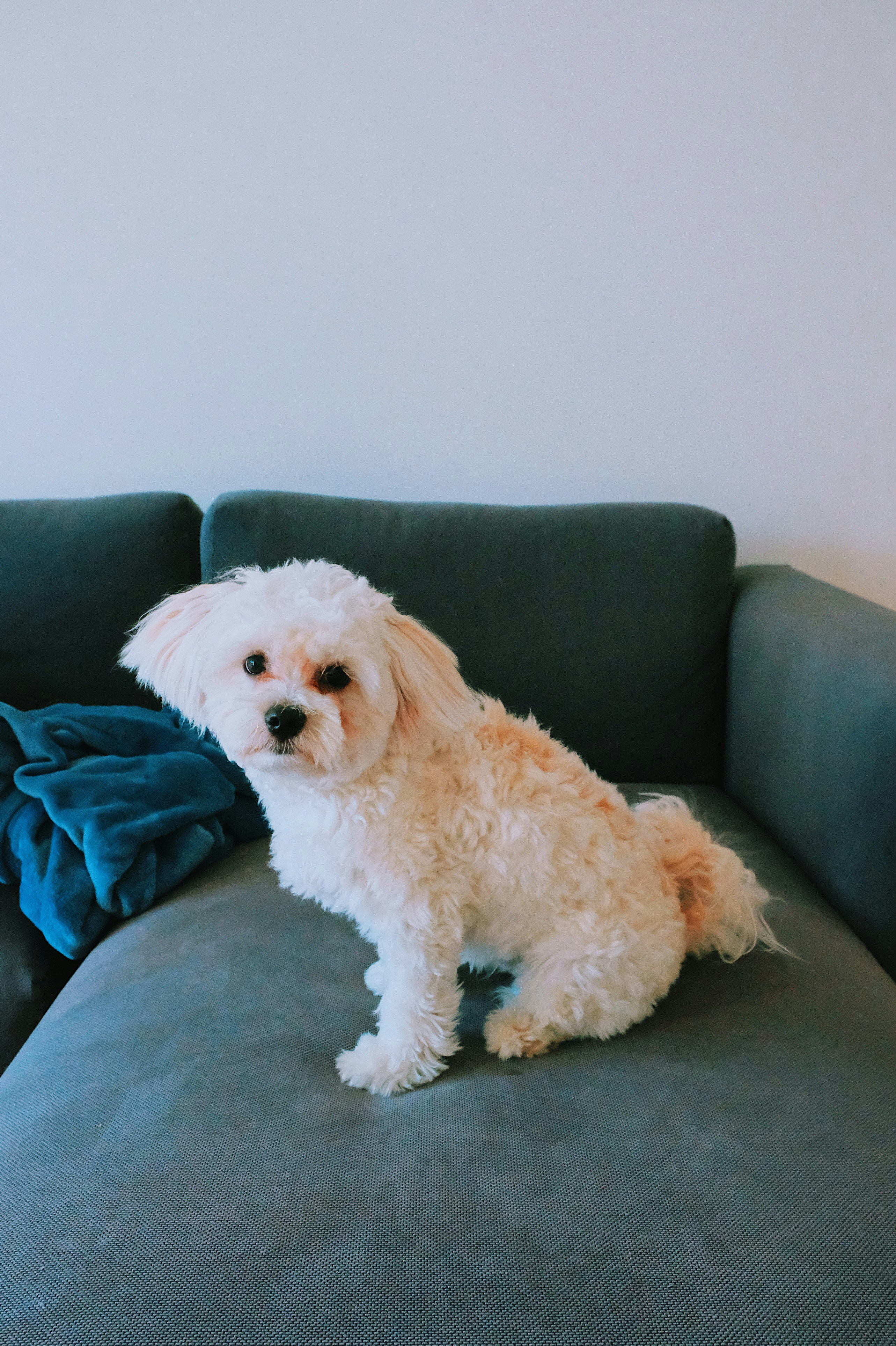 Photo by nataliecheung