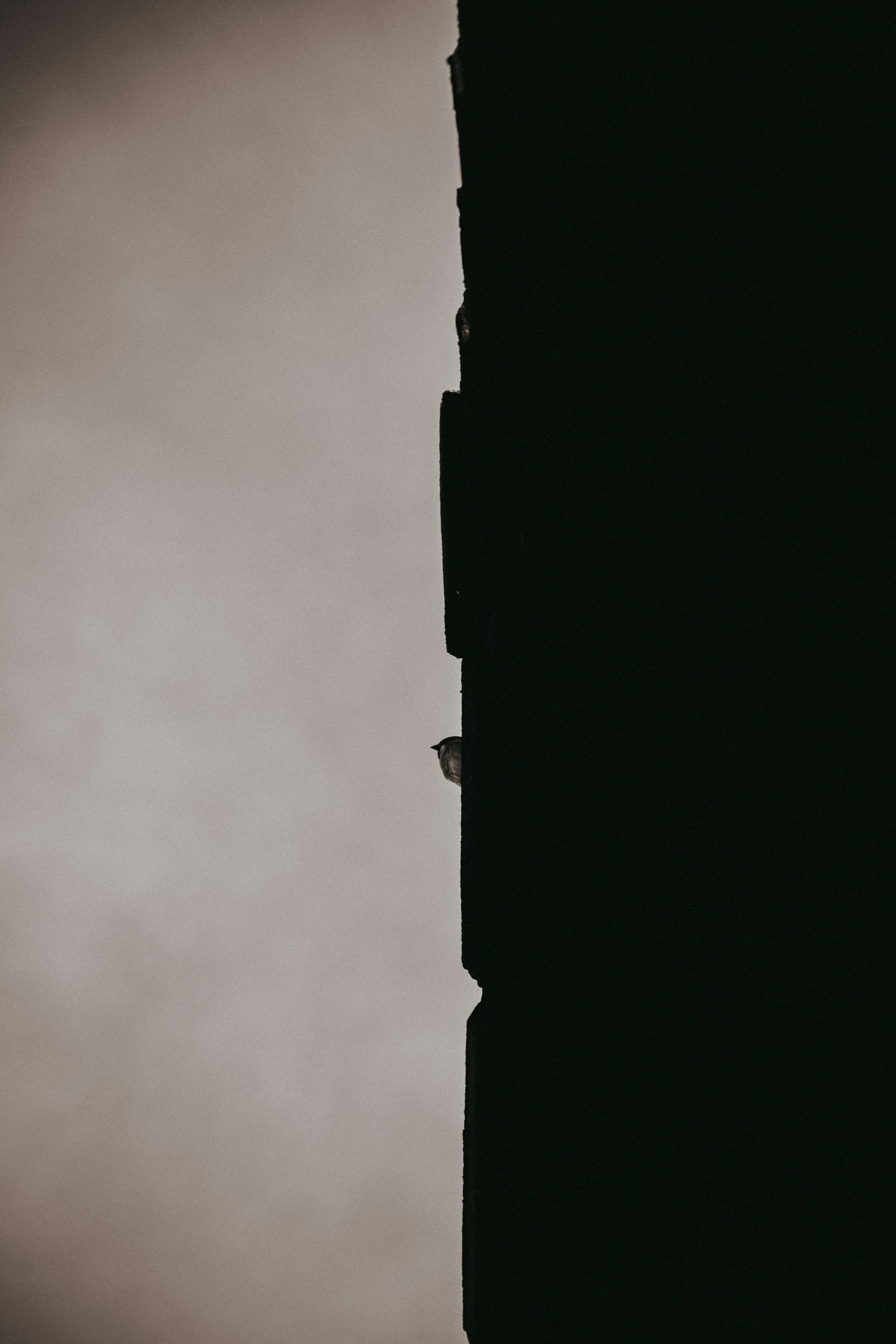 photo-1638005101665-18d79f49bc07?ixid=M3wxMjA3fDB8MXxzZWFyY2h8M3x8JUUwJUI4JTlBJUUwJUI4JUIyJUUwJUI4JTg0JUUwJUI4JUIyJUUwJUI4JUEzJUUwJUI5JTg4JUUwJUI4JUIyJTIwJUUwJUI4JUFEJUUwJUI4JUFEJUUwJUI4JTk5JUUwJUI5JTg0JUUwJUI4JUE1JUUwJUI4JTk5JUUwJUI5JThDfGVufDB8fHx8MTc1Njk5ODk0NHww\u0026ixlib=rb-4.1.0