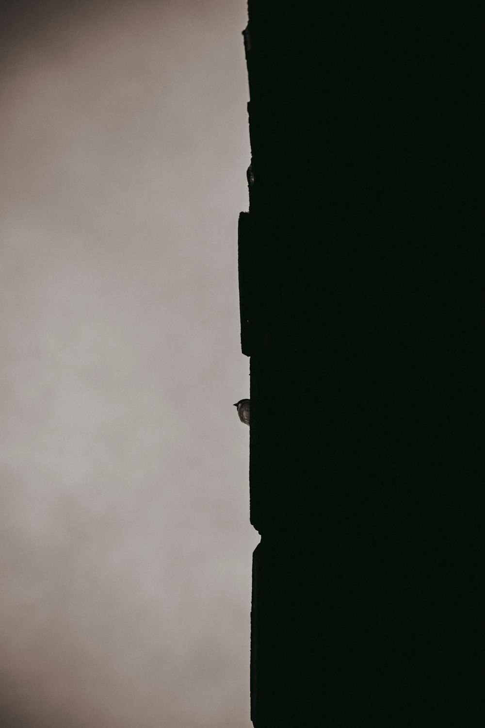 a black and white photo of a clock tower