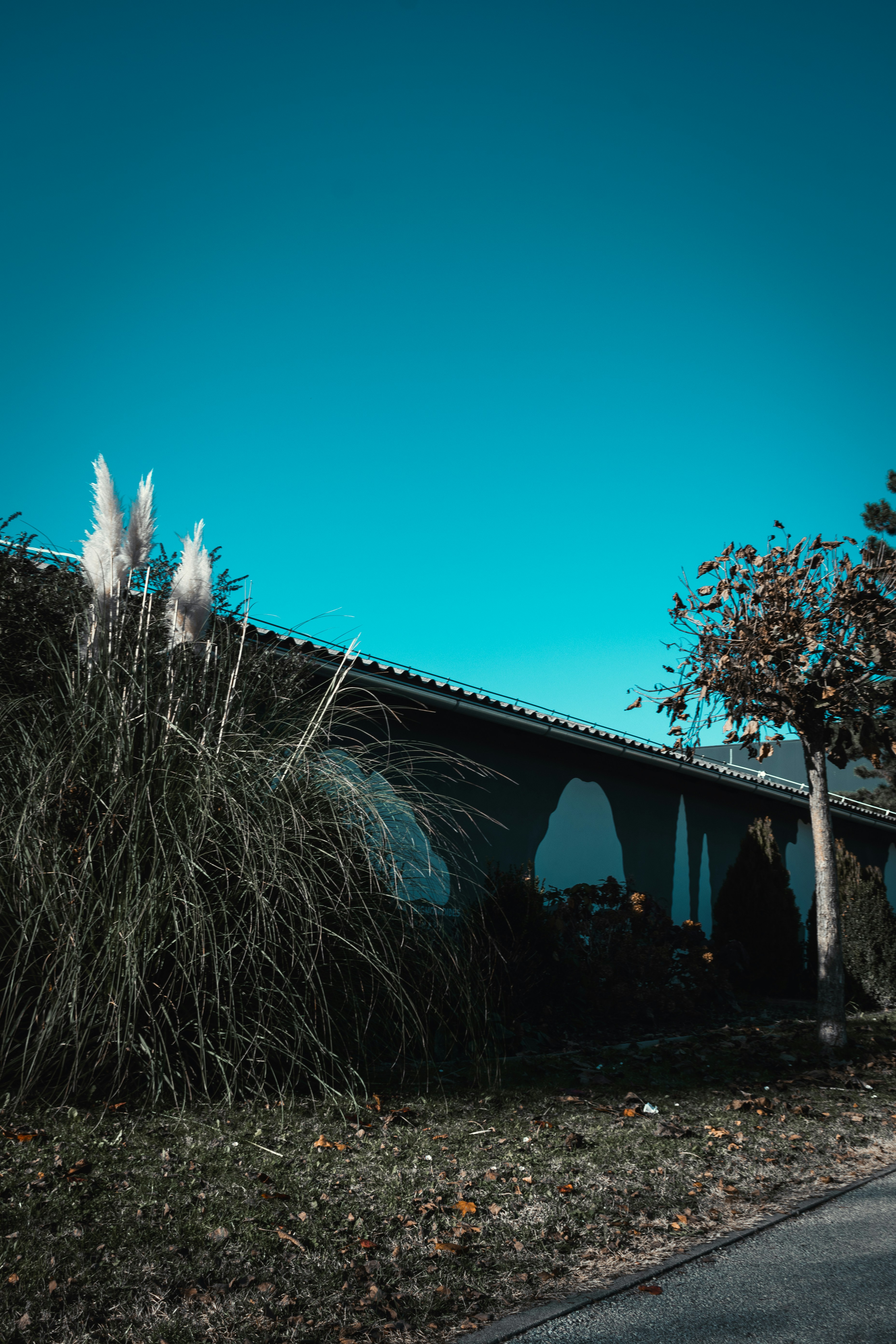uma casa com um céu azul no fundo