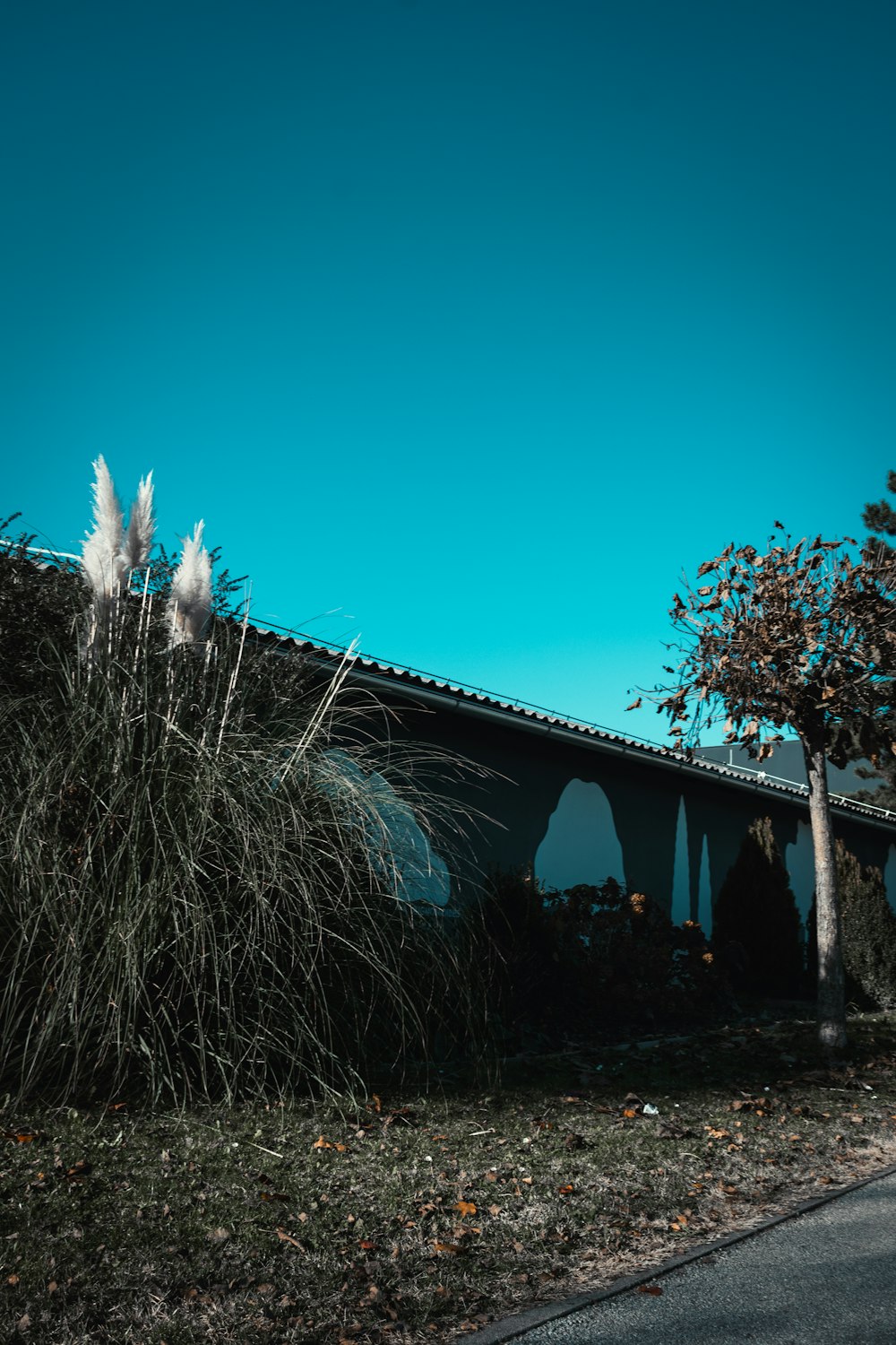 a house with a blue sky in the background