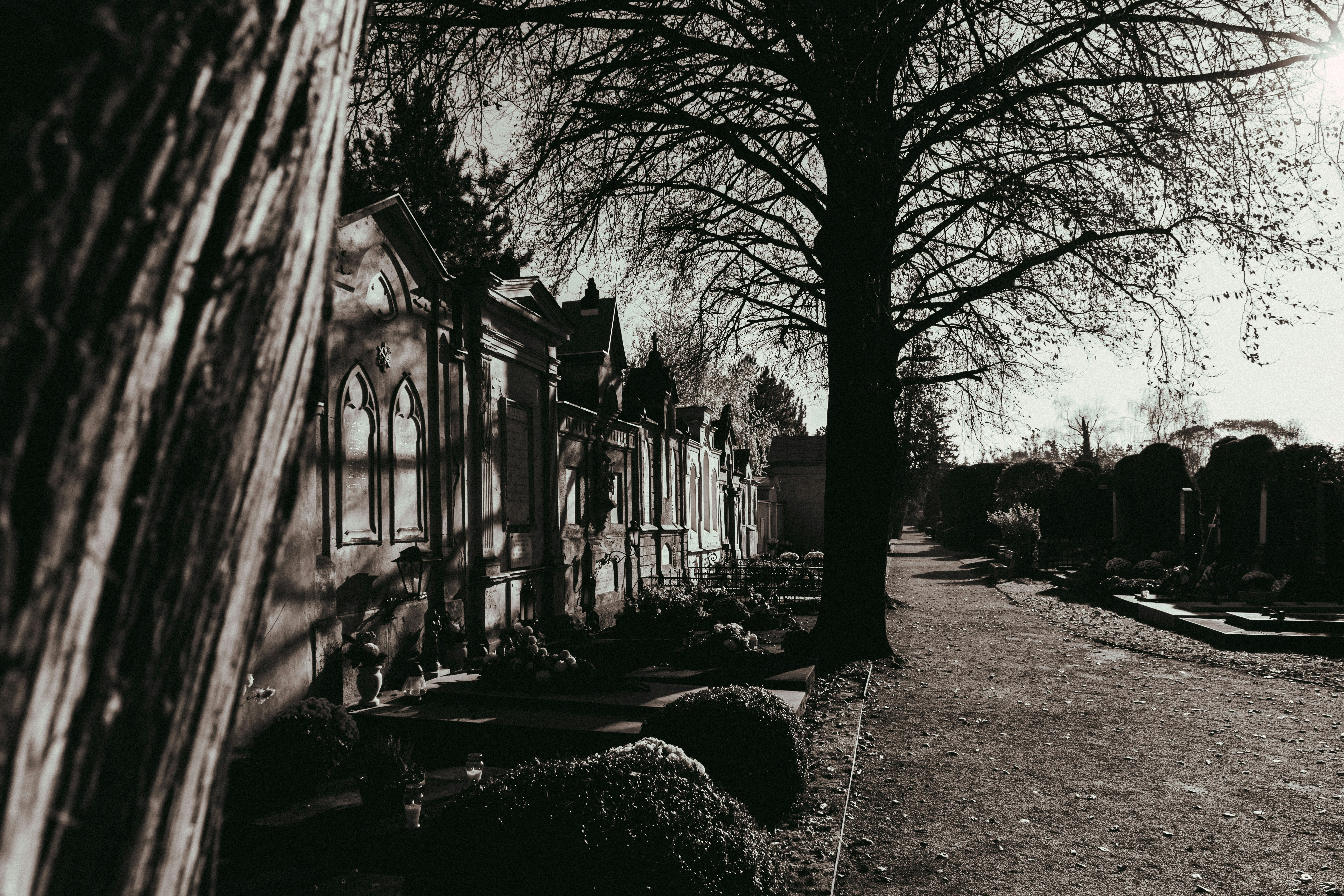 uma foto em preto e branco de um cemitério