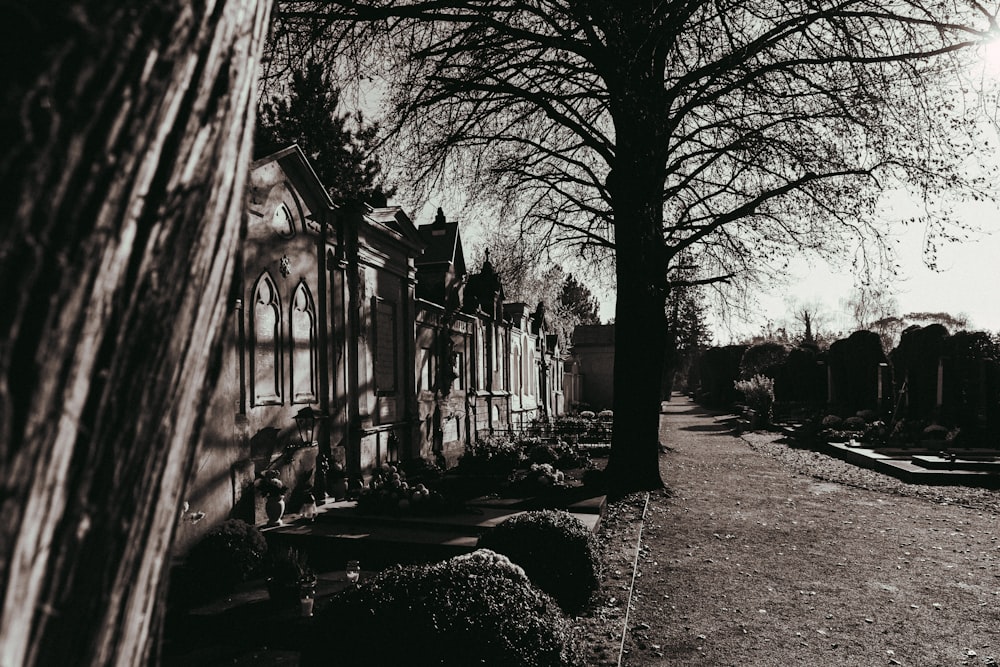 a black and white photo of a cemetery