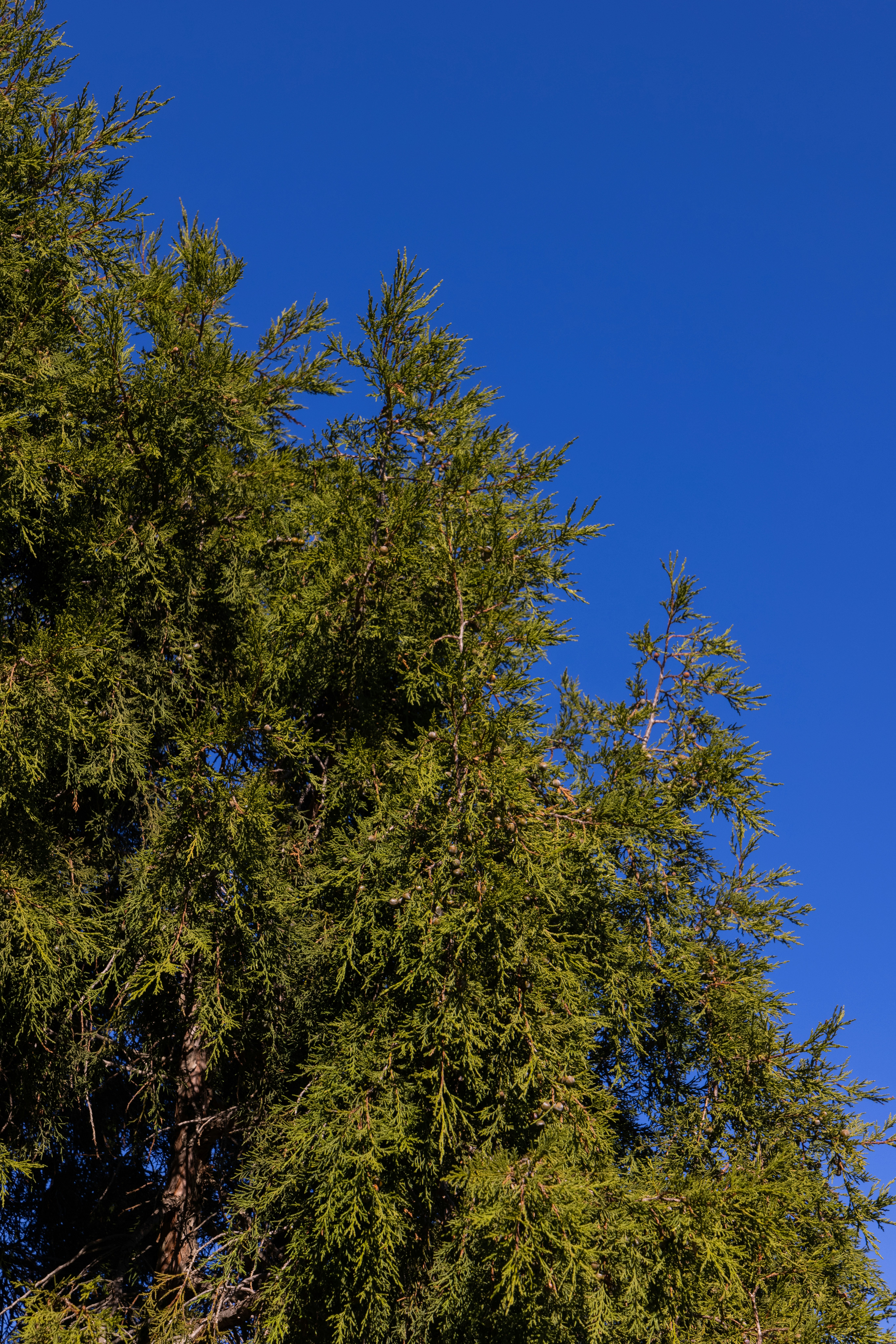 Photo by enginakyurt