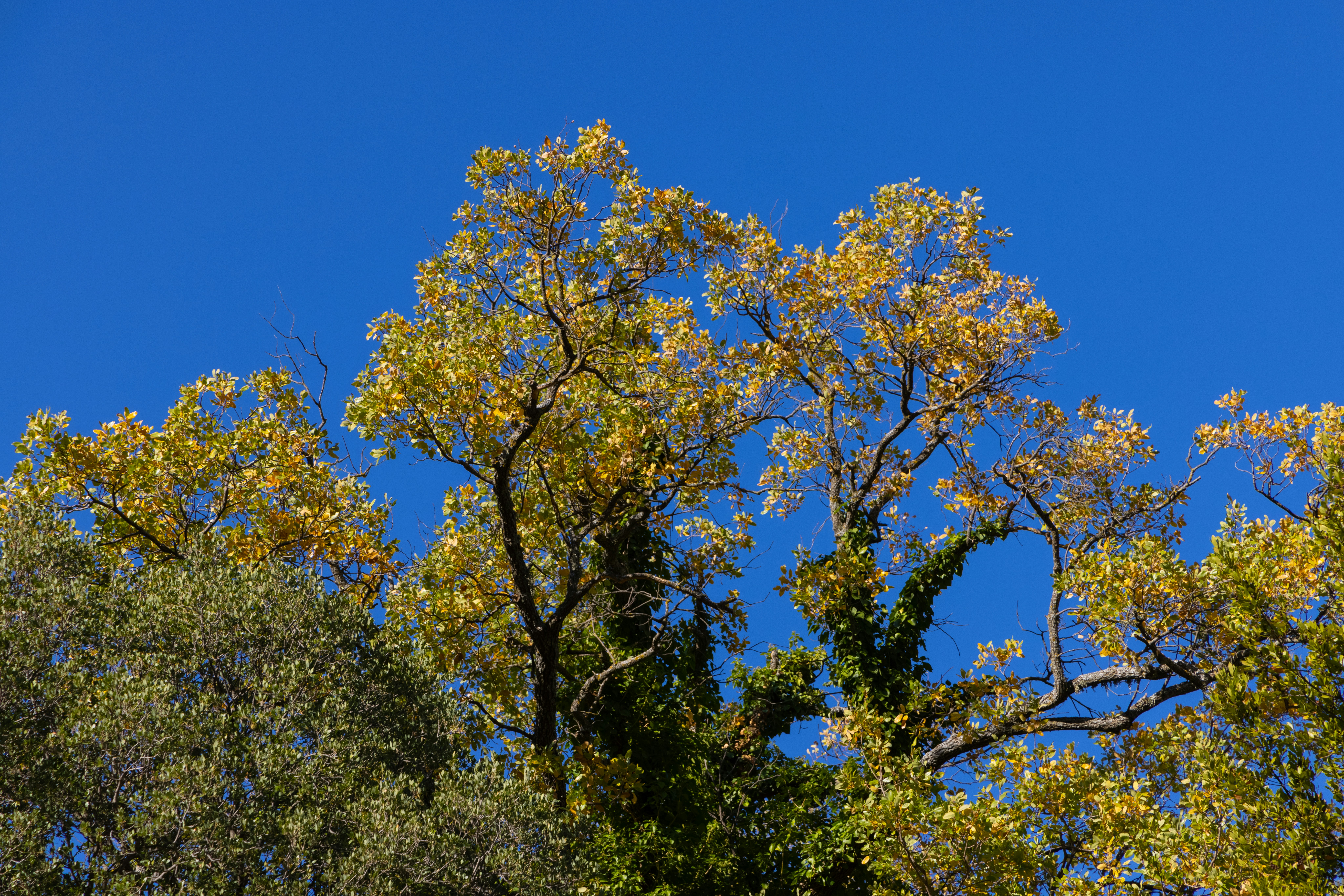 Photo by enginakyurt