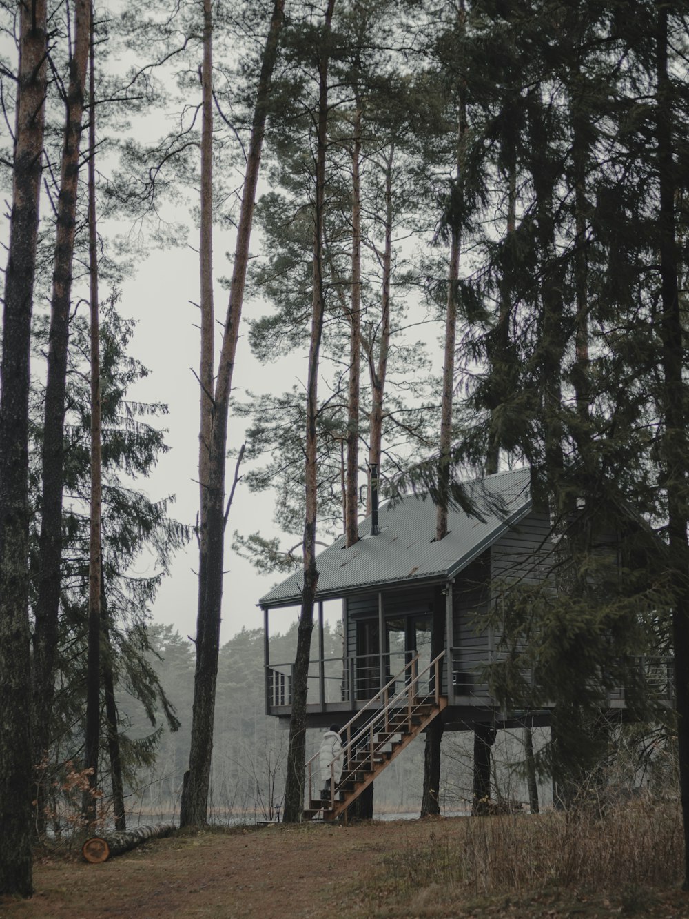 a cabin in the woods with stairs leading up to it