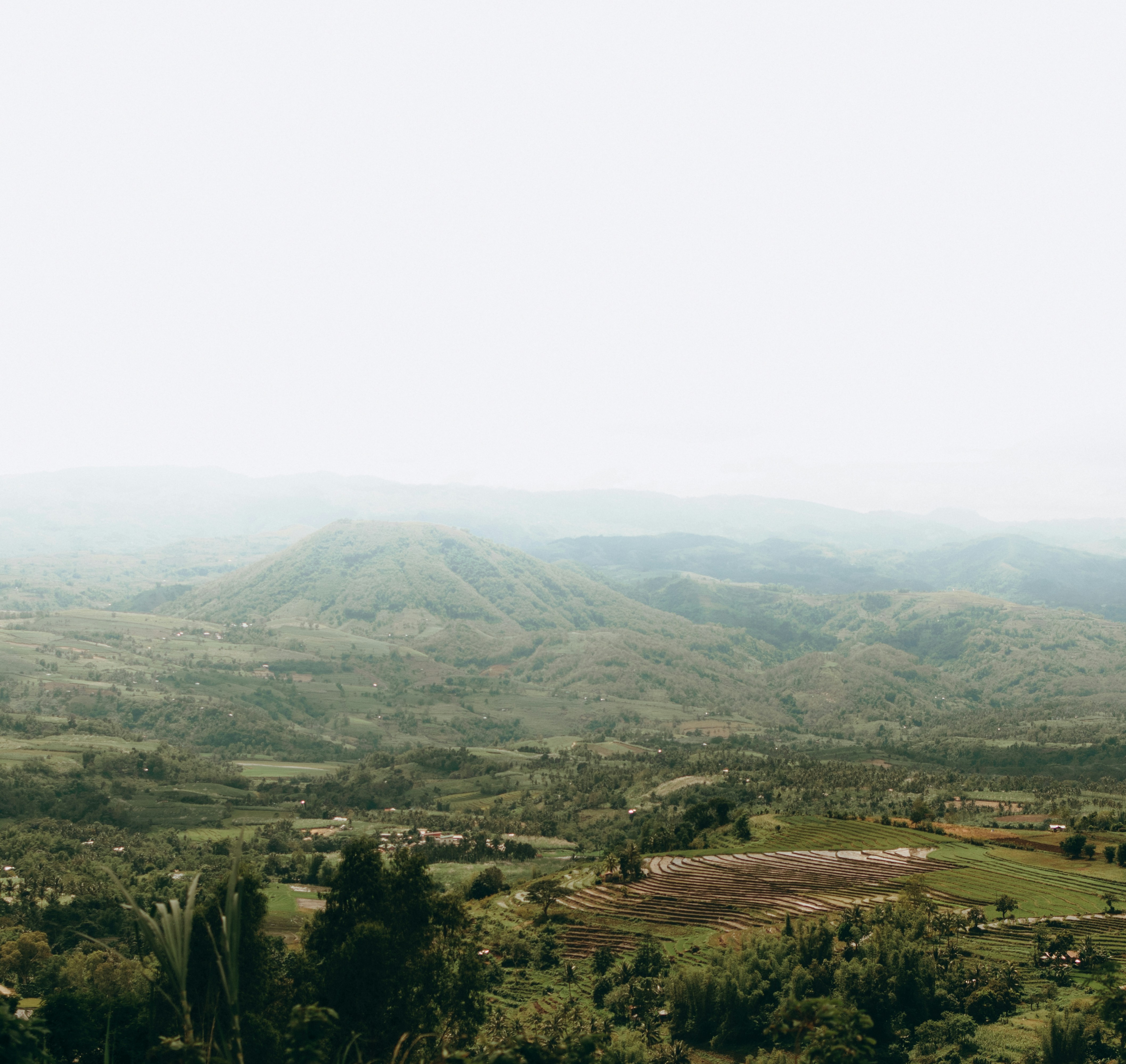 Photo by sbellocillo