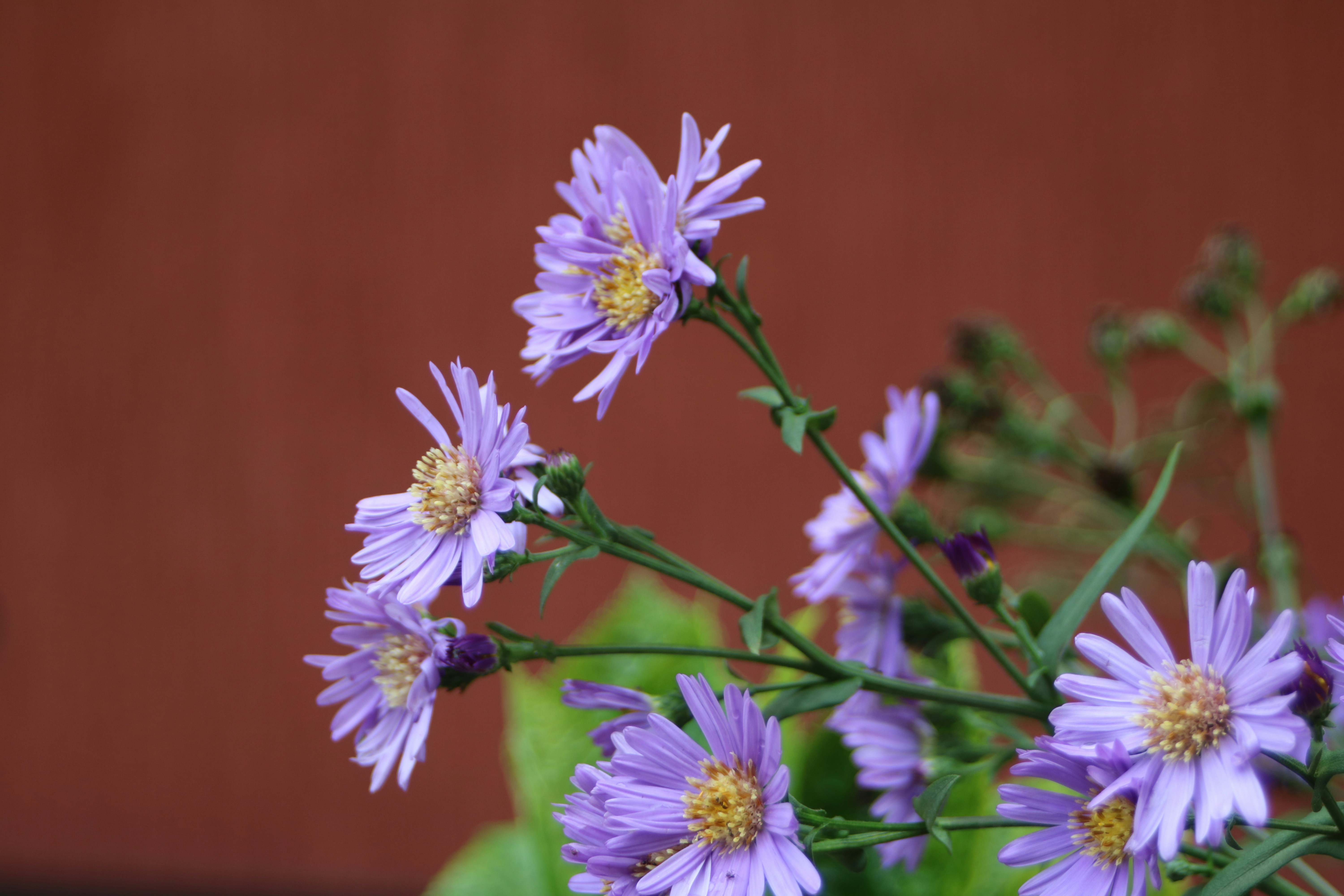 Photo by free_indeed_john8_36