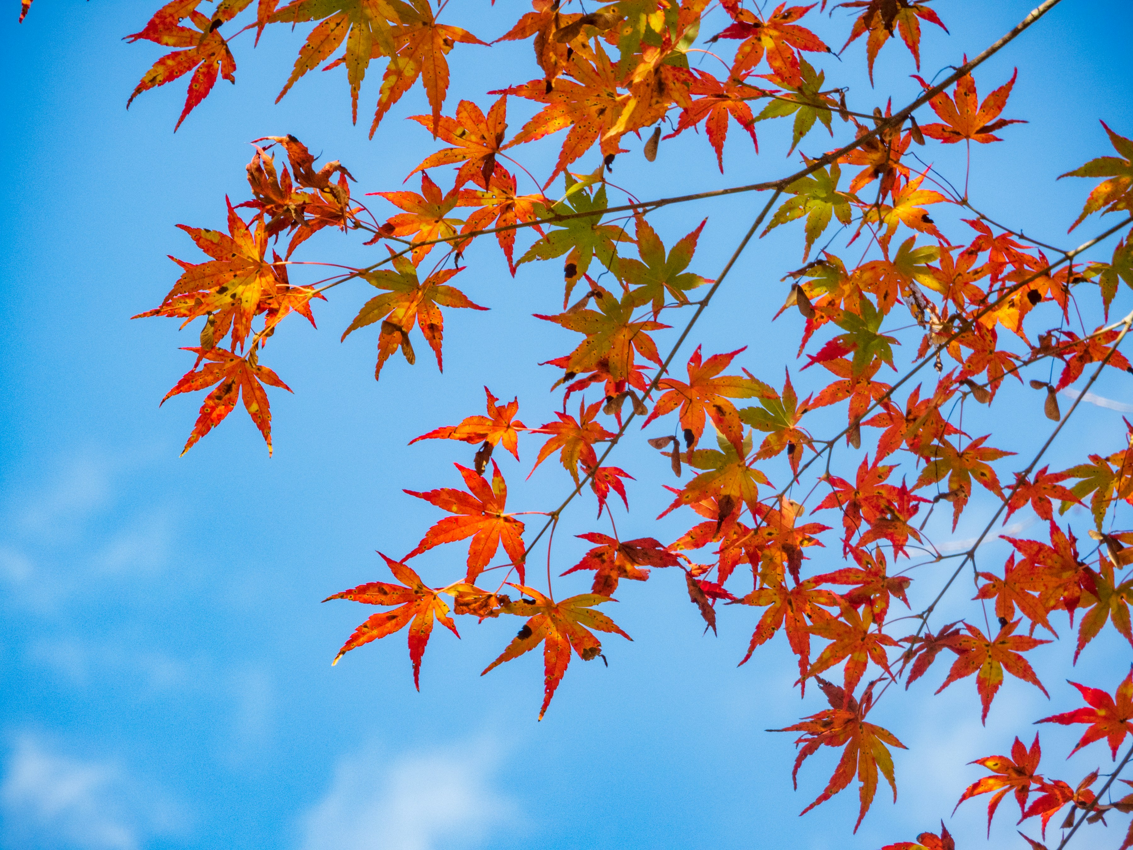 Photo by heppoko_yama